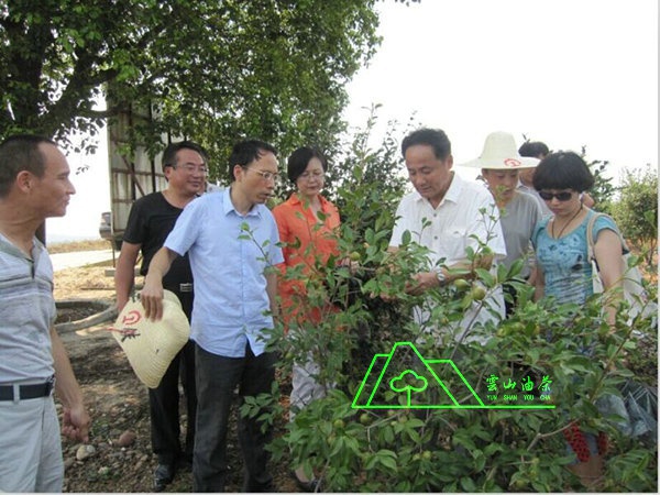 江西省油茶辦主任、工程師孫勇、省科技廳農(nóng)村工作處副處長、副調(diào)研員尹伊等基地指導工作