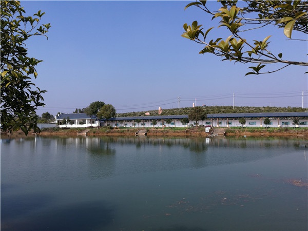 文化長(zhǎng)廊